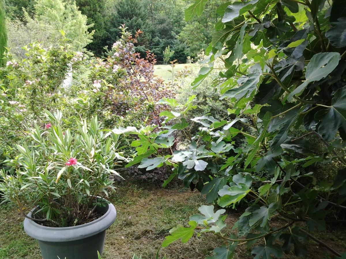 Erable Pourpre Bed and Breakfast Saint-Georges-Haute-Ville Exteriör bild