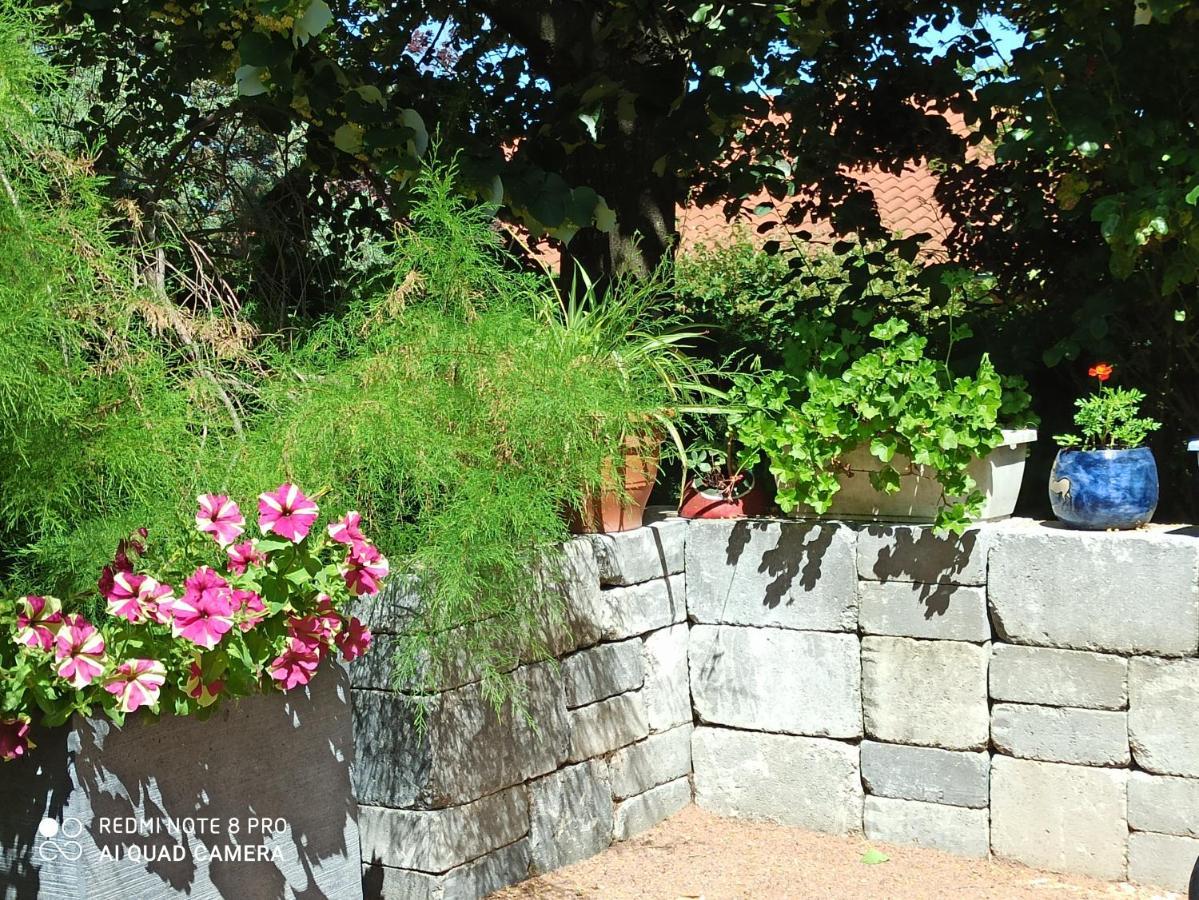 Erable Pourpre Bed and Breakfast Saint-Georges-Haute-Ville Exteriör bild